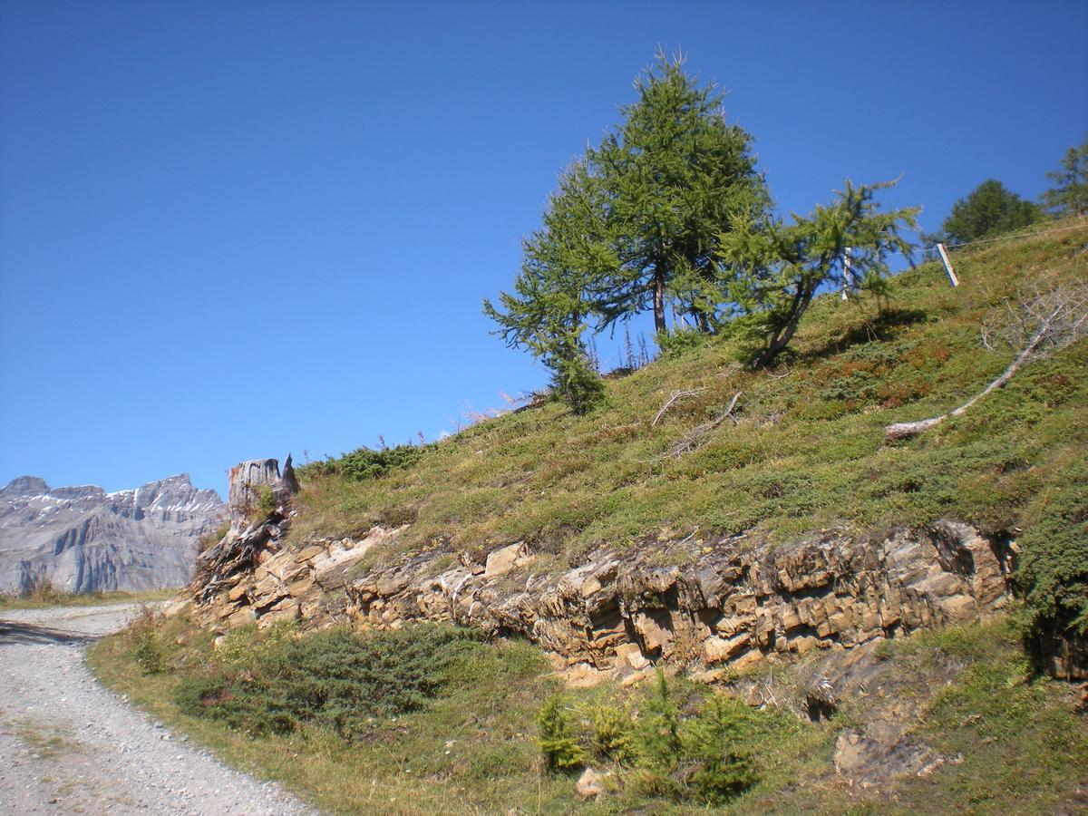 Appartementhaus La Promenade Leukerbad Exterior foto